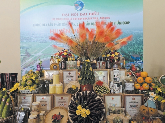 Unlocking Potential of OCOP Products in Cooperatives