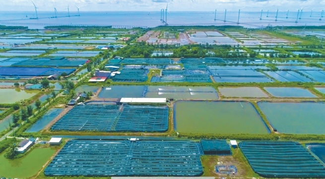 Improving Business Climate to Promote Investment Attraction