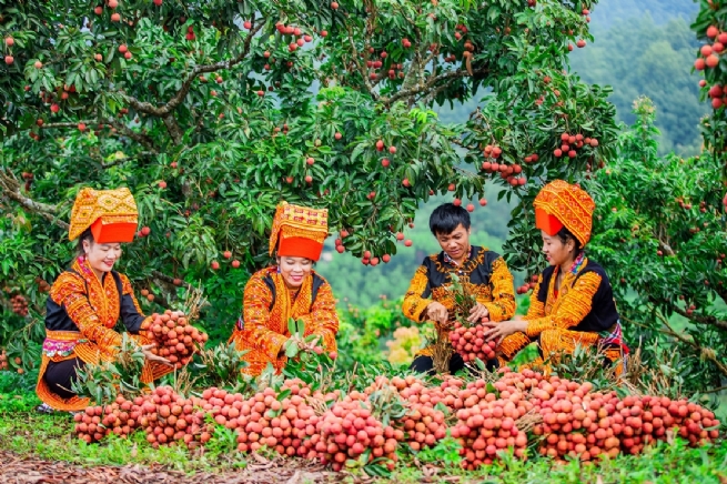 Experiential Tourism - New Appeal of Bac Giang