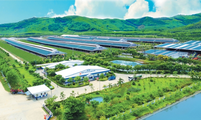Net Zero Journey of Vietnamese Businesses